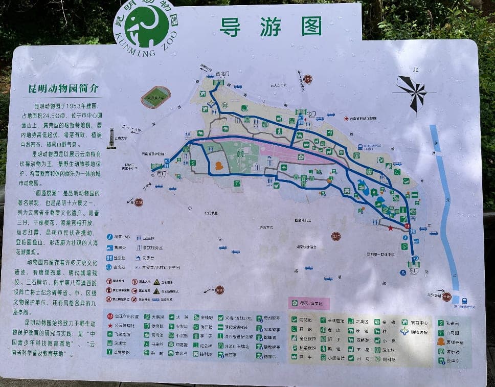 昆明动物园园区地图