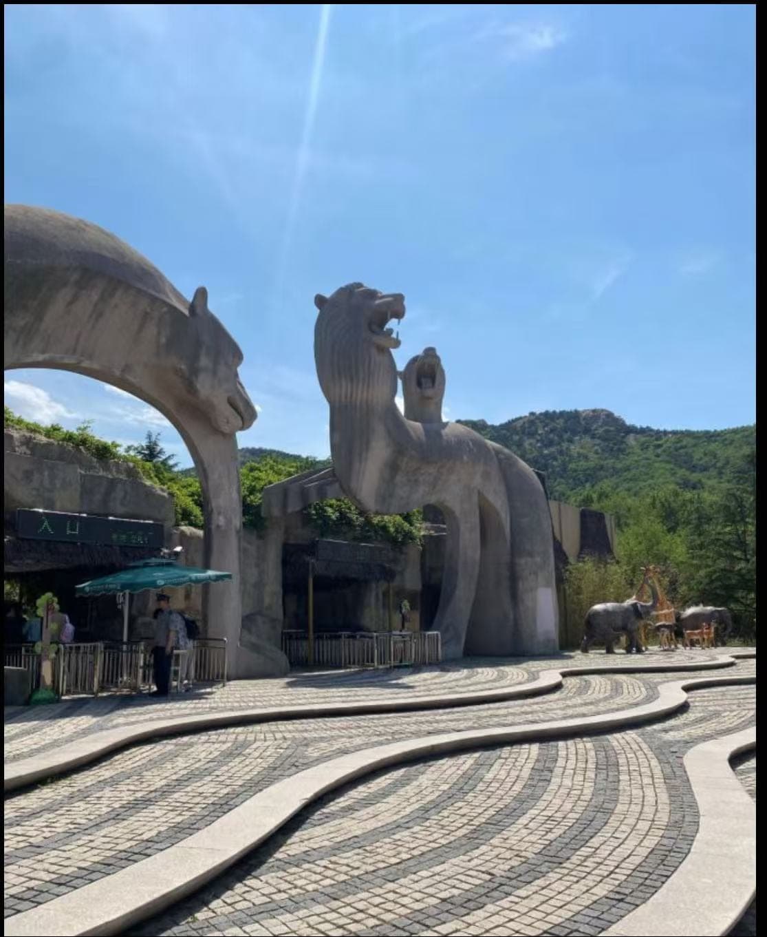 青岛森林野生动物世界现场图片