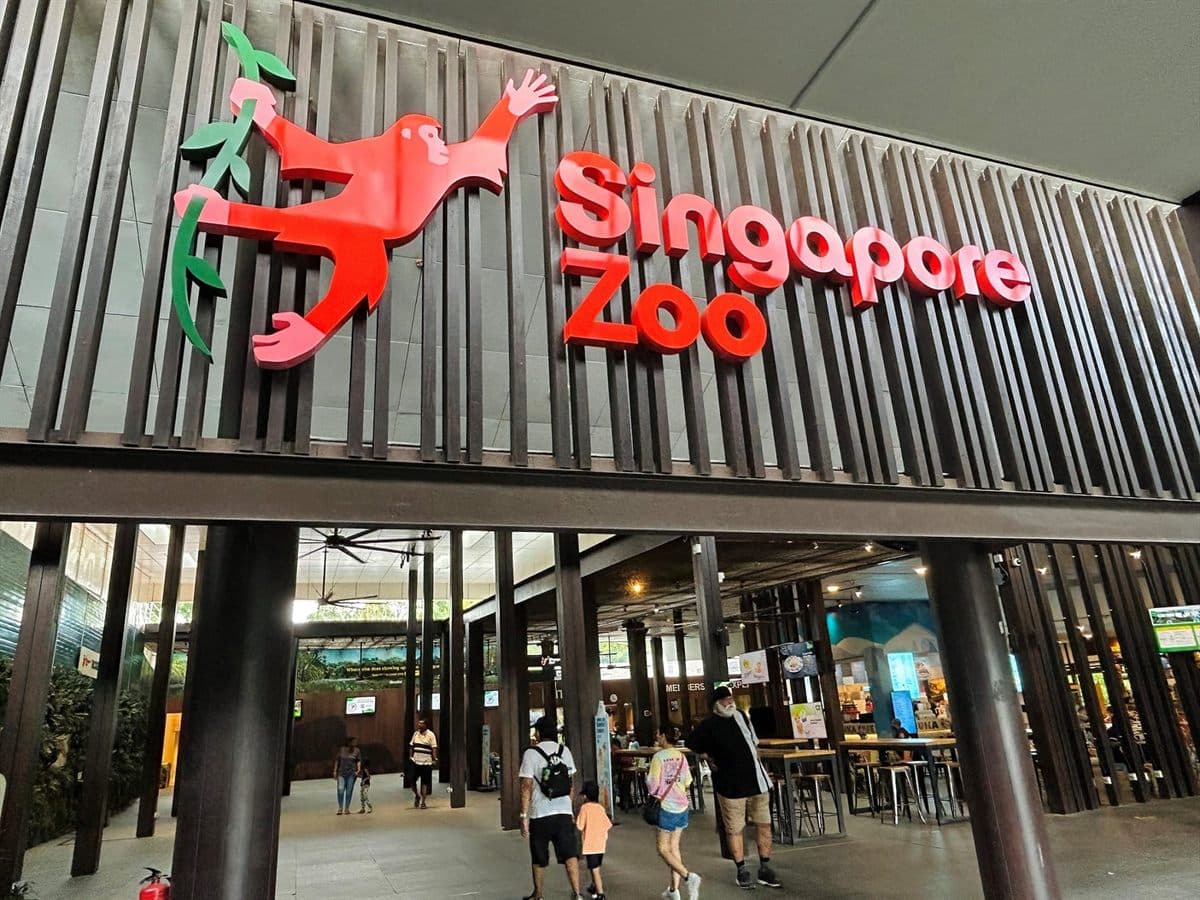 Singapore Zoo现场图片