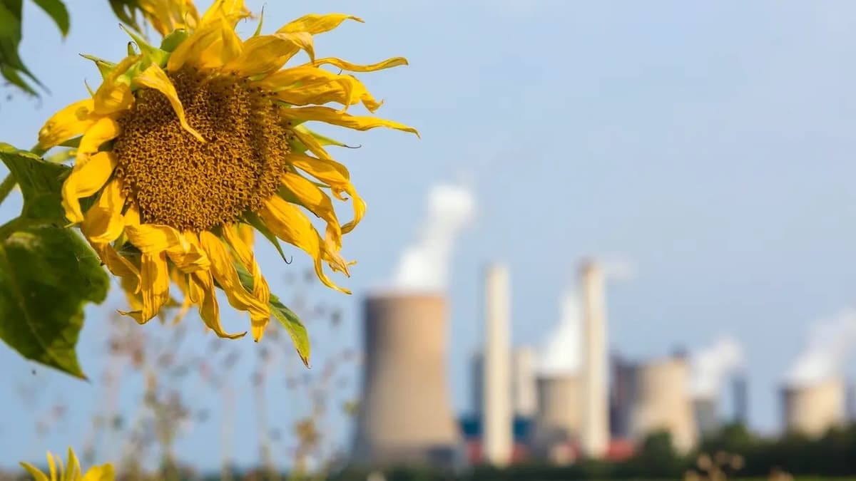 人类正在改变自然的气味:污染如何干扰昆虫、植物和授粉