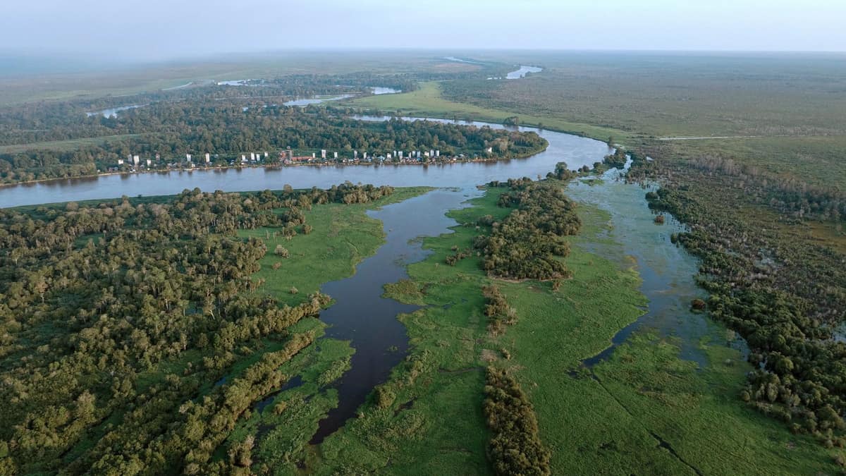 自然系统也在“排放”:气候模型漏掉的森林、湿地和冻土反馈