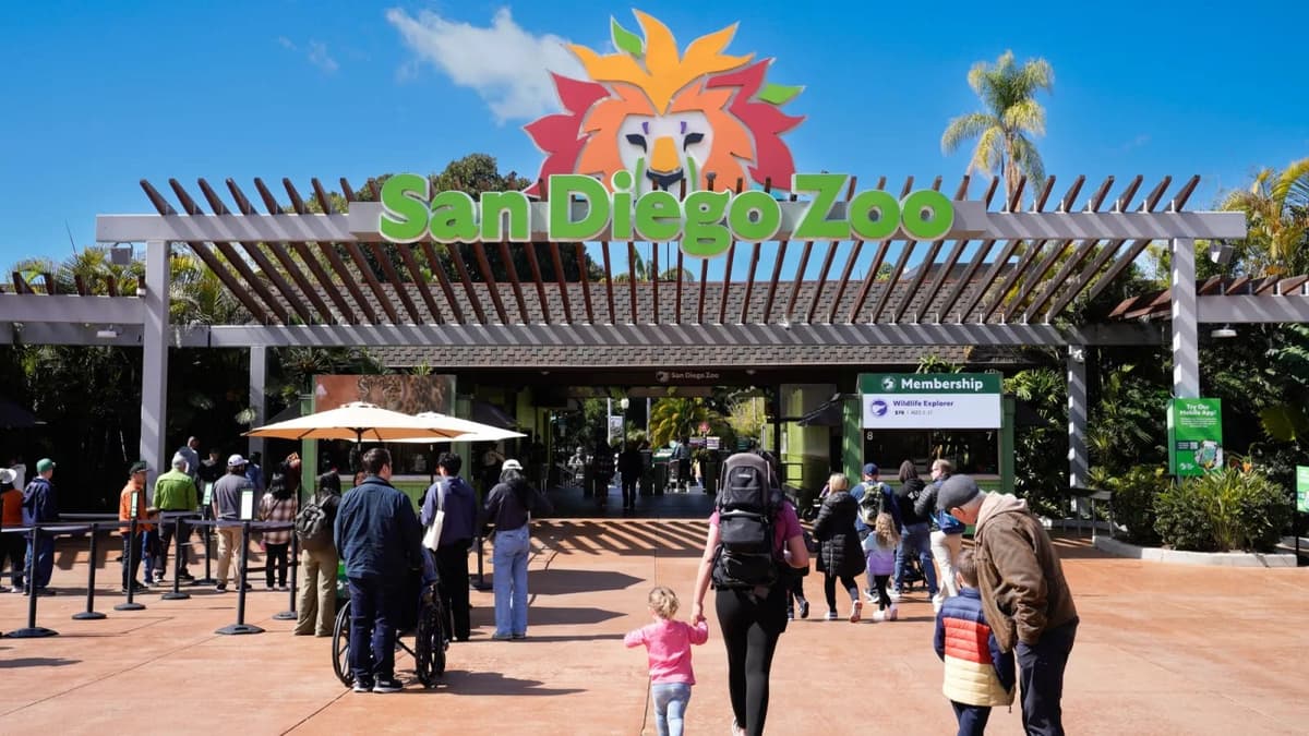 San Diego Zoo现场图片