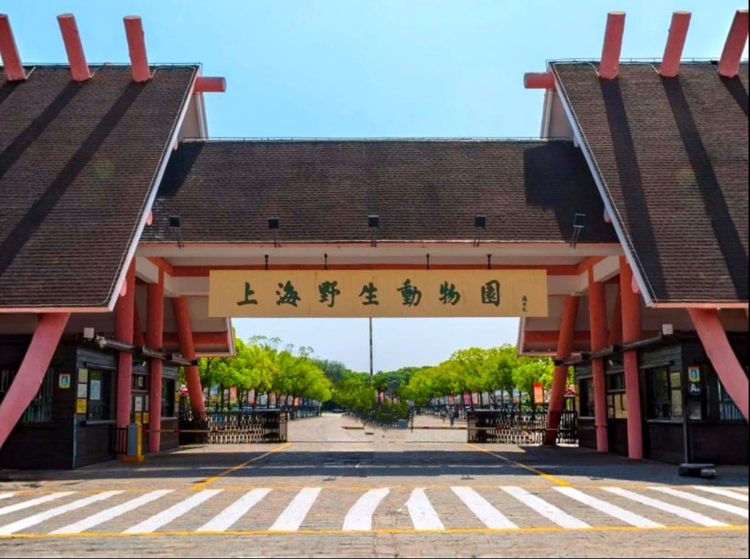 上海野生动物园现场图片