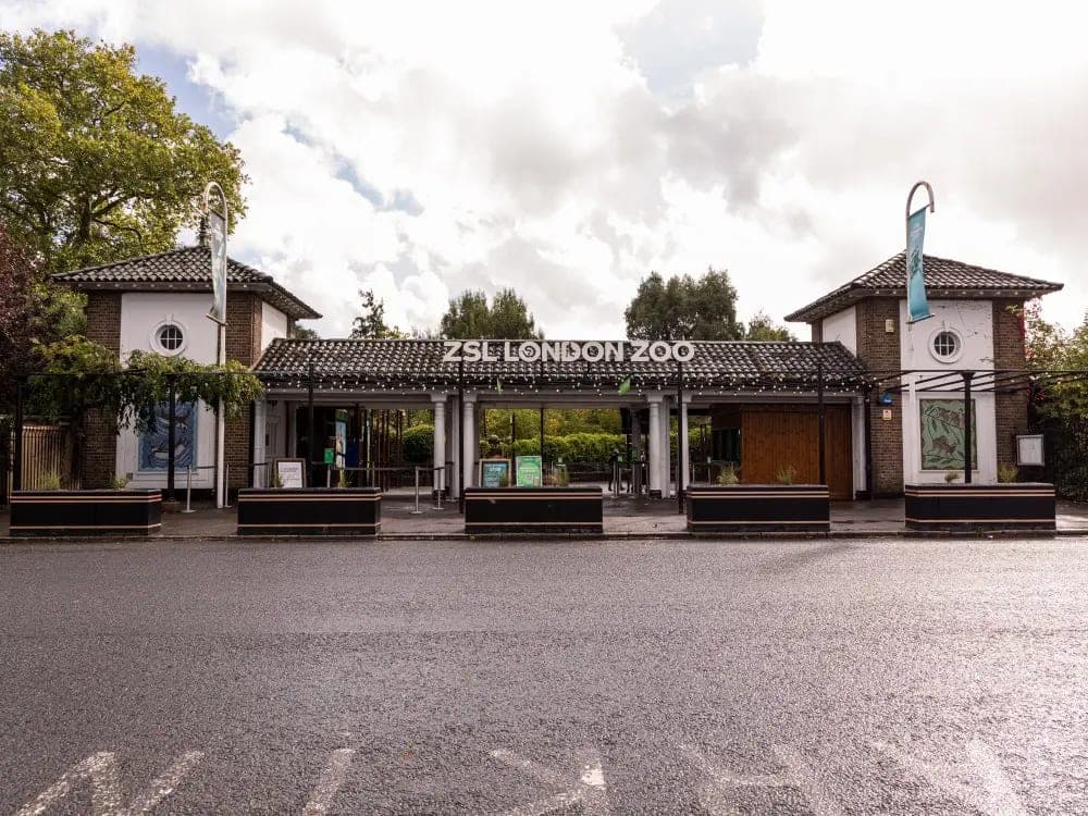 ZSL London Zoo现场图片