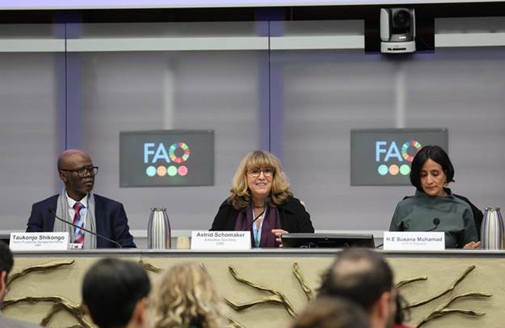 自然基因数据终于要“回馈自然”：Cali Fund为何值得关注