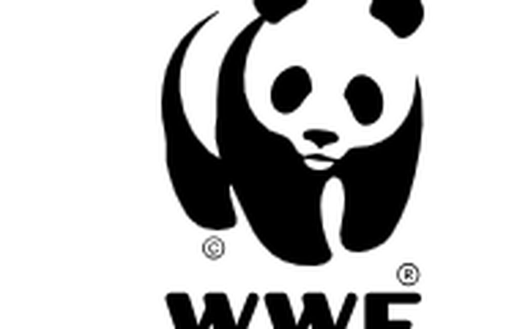 73%的下降：2024地球生命力报告给出的警告