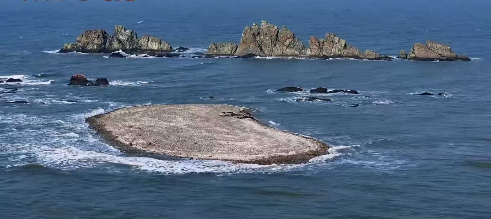大连斑海豹国家级自然保护区横幅图