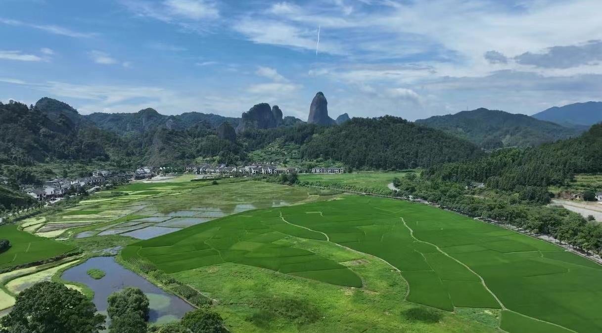 汉中朱鹮国家级自然保护区横幅图