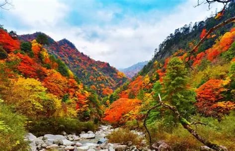 唐家河国家级自然保护区横幅图